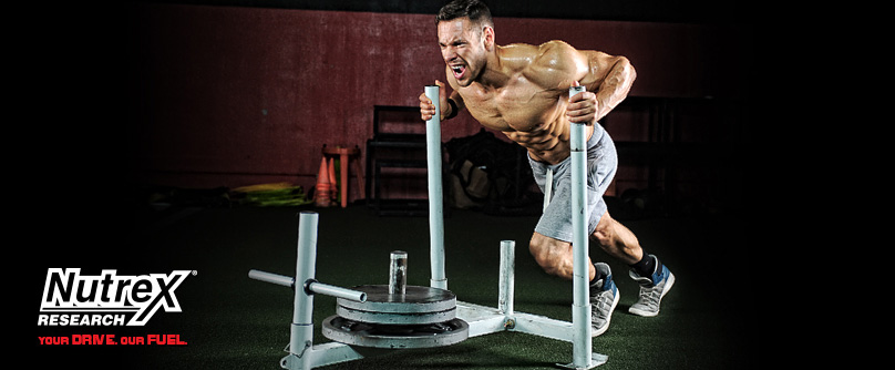 nutrex-research-header