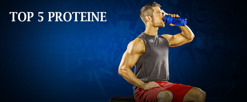 top5proteiner