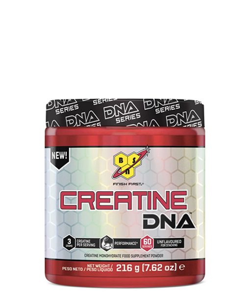BSNcreatineDNA