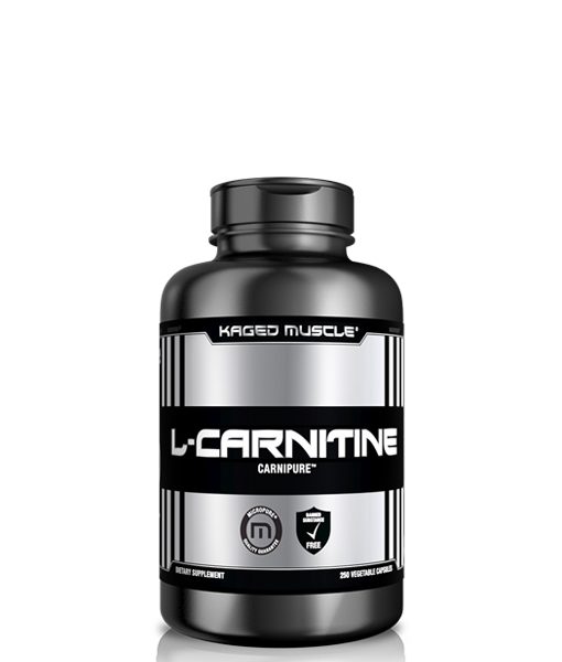 KagedLcarnitine
